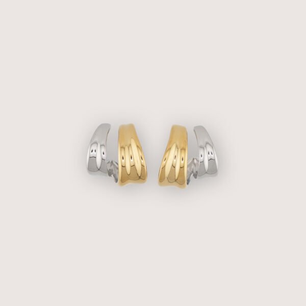 Σκουλαρίκια Χρυσά - Ασημένια  Nido