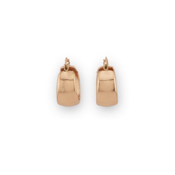 Σκουλαρίκια Χρυσά Maris