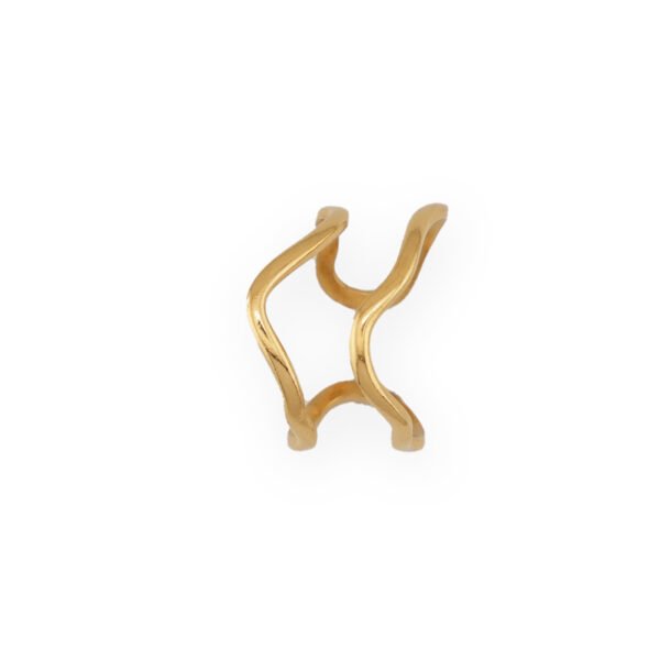 Δαχτυλίδι Χρυσό Flowless