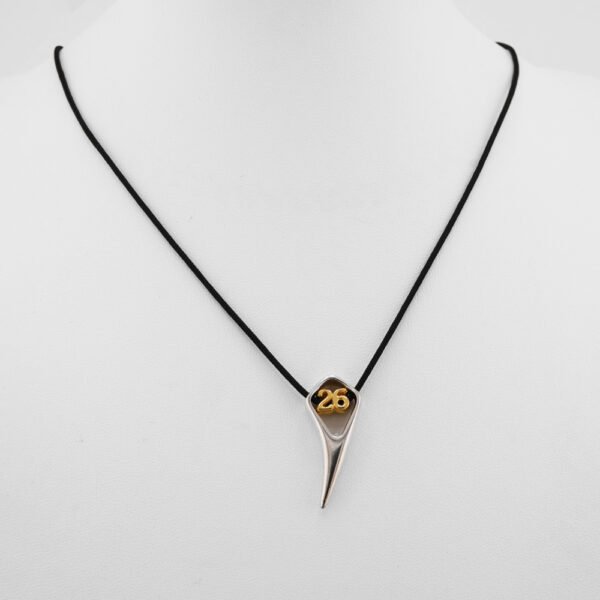 Χρυσό-Ασημένιο Γούρι Feel '26 από Ανοξείδωτο Ατσάλι