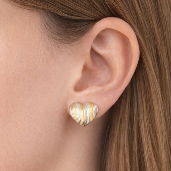 Alternative view of Σκουλαρίκια Χρυσά-Ασημένια Kalinda