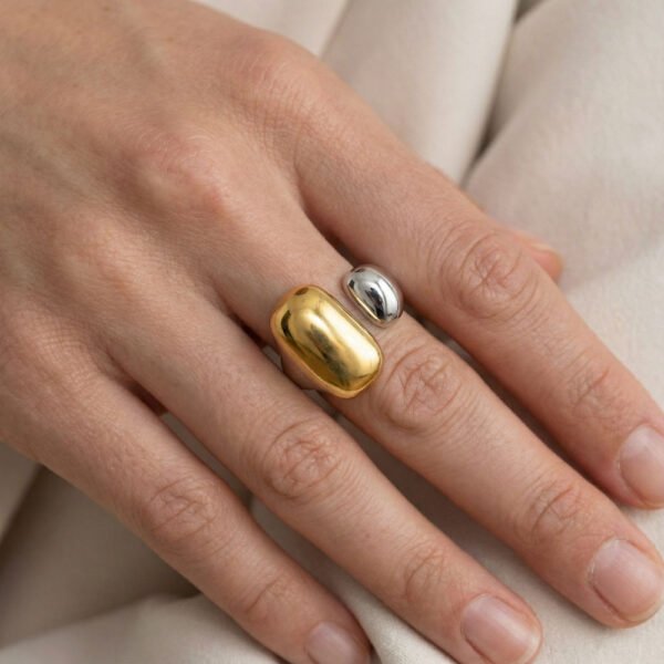 Coshe.gr -%wc_product_cat% Alternative view of Δαχτυλίδι Χρυσό-ασημένιο Nanda